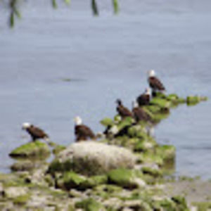 Meet your Posher, R&e